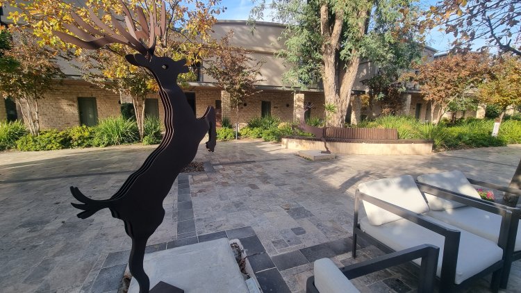 Green and well-kept all around. Photo: Sapir Peretz