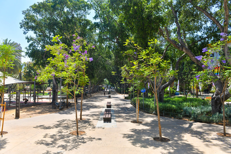 צילום: כפיר סיון