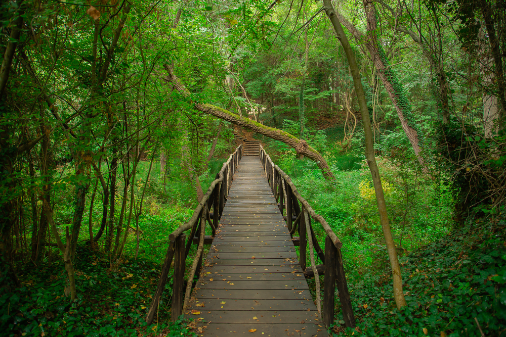 Varna Ecopark, Болгария. Фото: Shutterstock