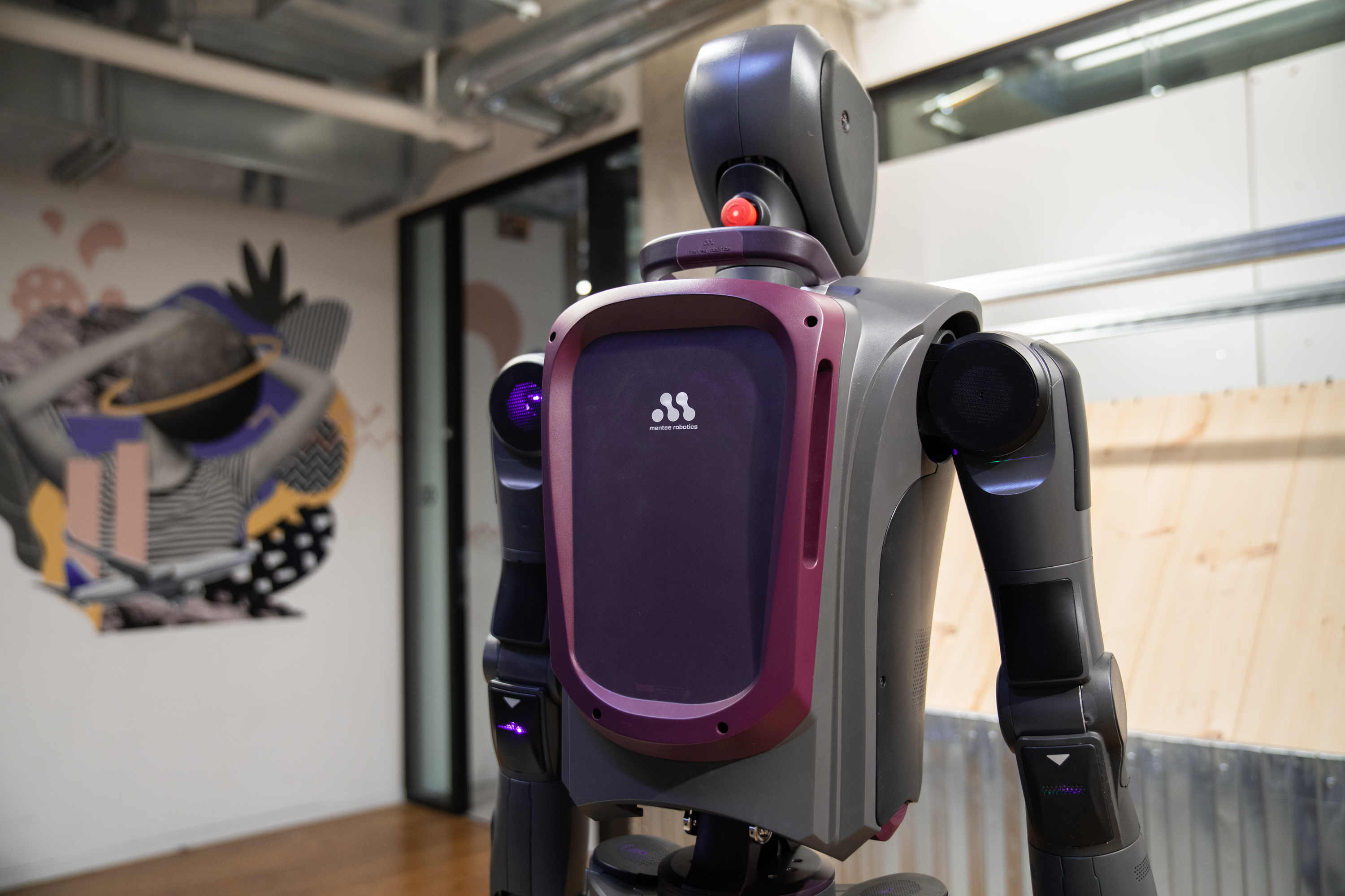 צילום: Mentee Robotics