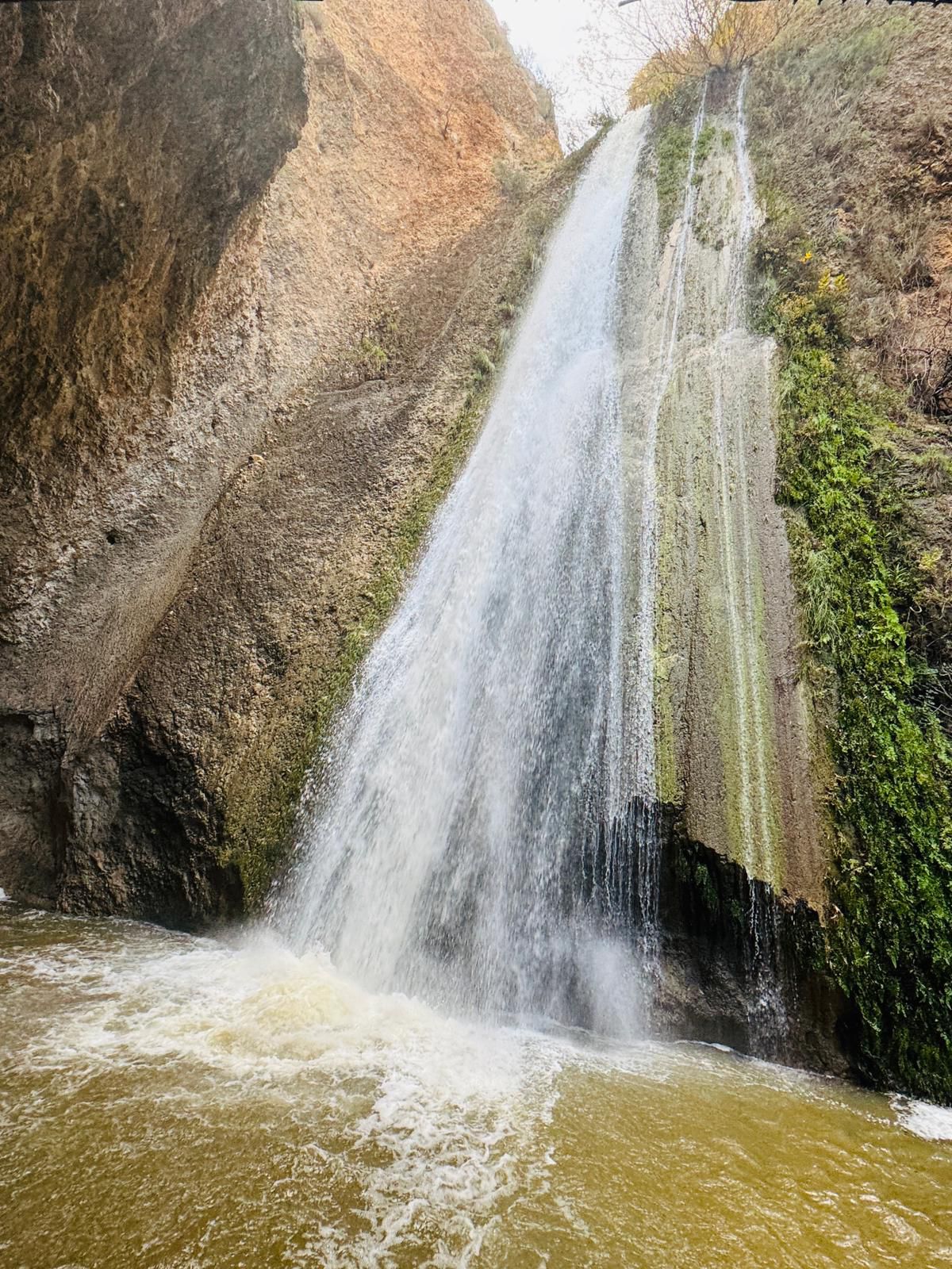 שמורת הטבע נחל עיון, צילום: נאג׳י רשאש, רשות הטבע והגנים