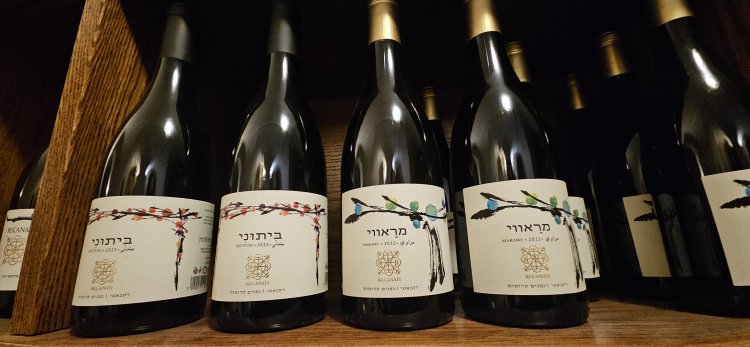 טועמים יינות מורשת בבר של המלון. צילום: ספיר פרץ