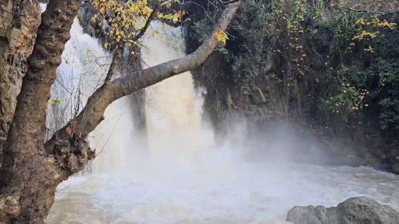 שמורת הטבע נחל חרמון-בניאס