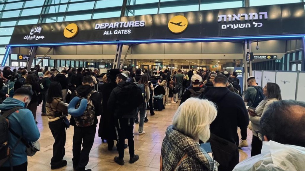 צילום: עמית קוטלר