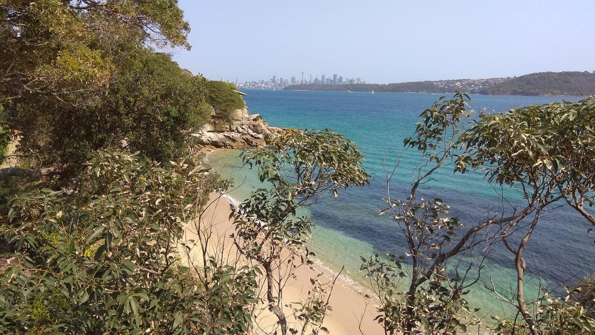 חופי סידני באוסטרליה. צילום: עמית קוטלר