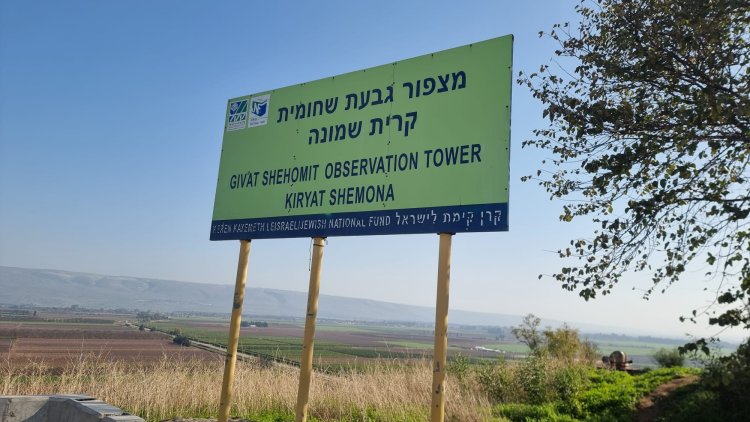 צילום: ספיר פרץ