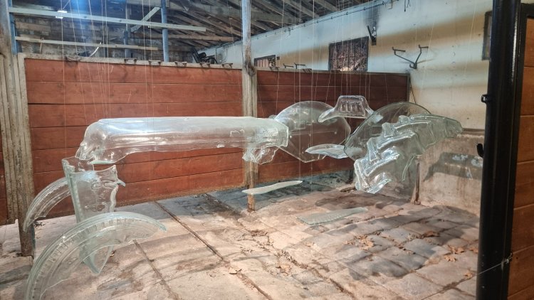 מיצג של מוזיאון זומו באורוות הישנות של קיבוץ כפר גלעדי. צילום: ספיר פרץ