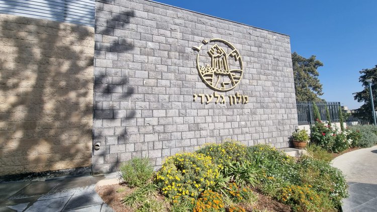 צילום: ספיר פרץ