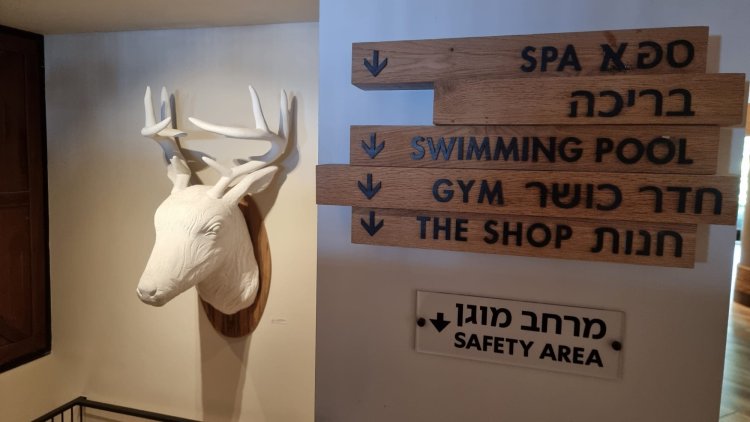 לחץ ("מרחב מוגן") אל מול רוגע ("ספא"). צילום: ספיר פרץ