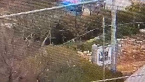 צילום: דוברות המשטרה