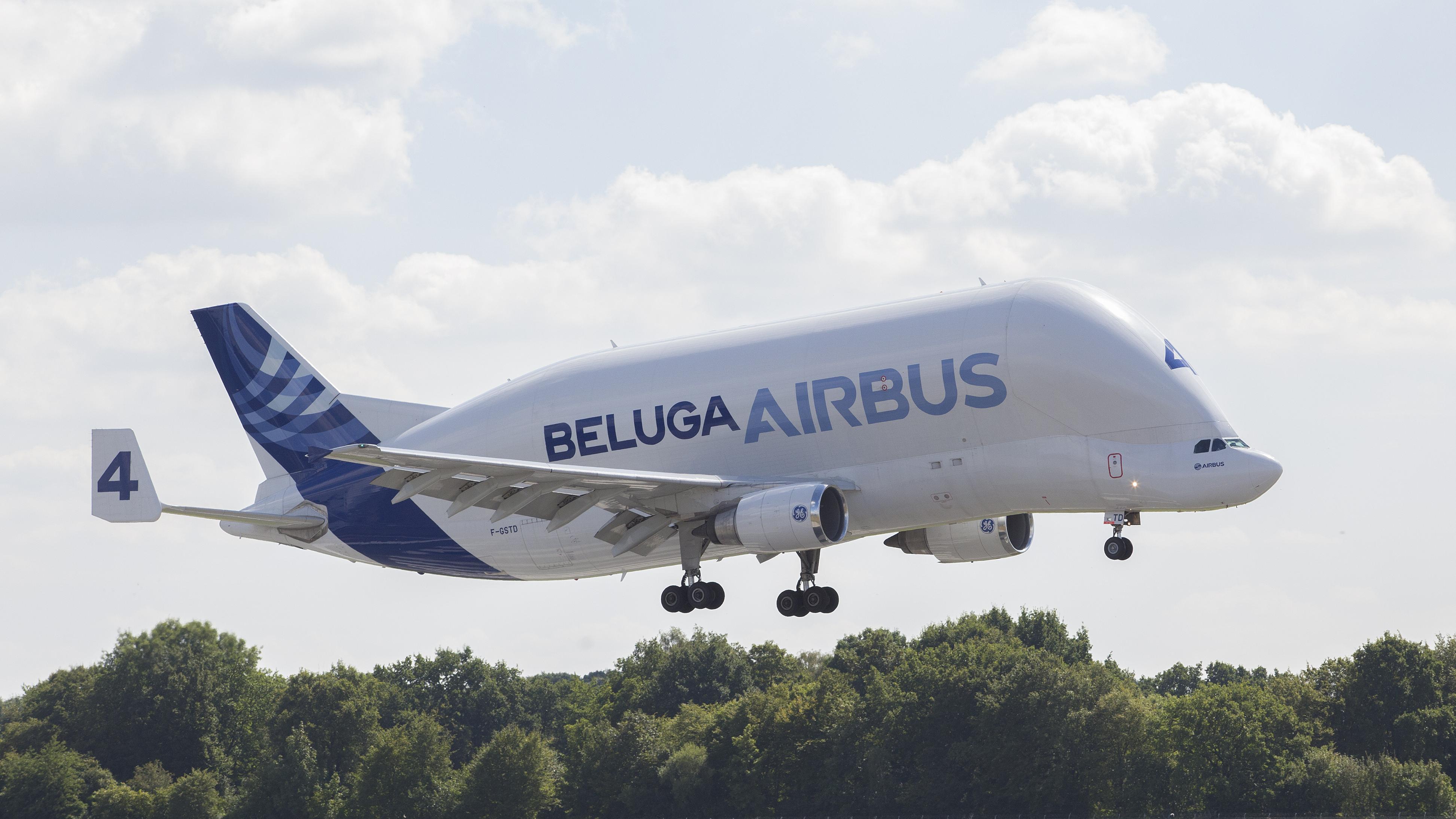 BelugaST