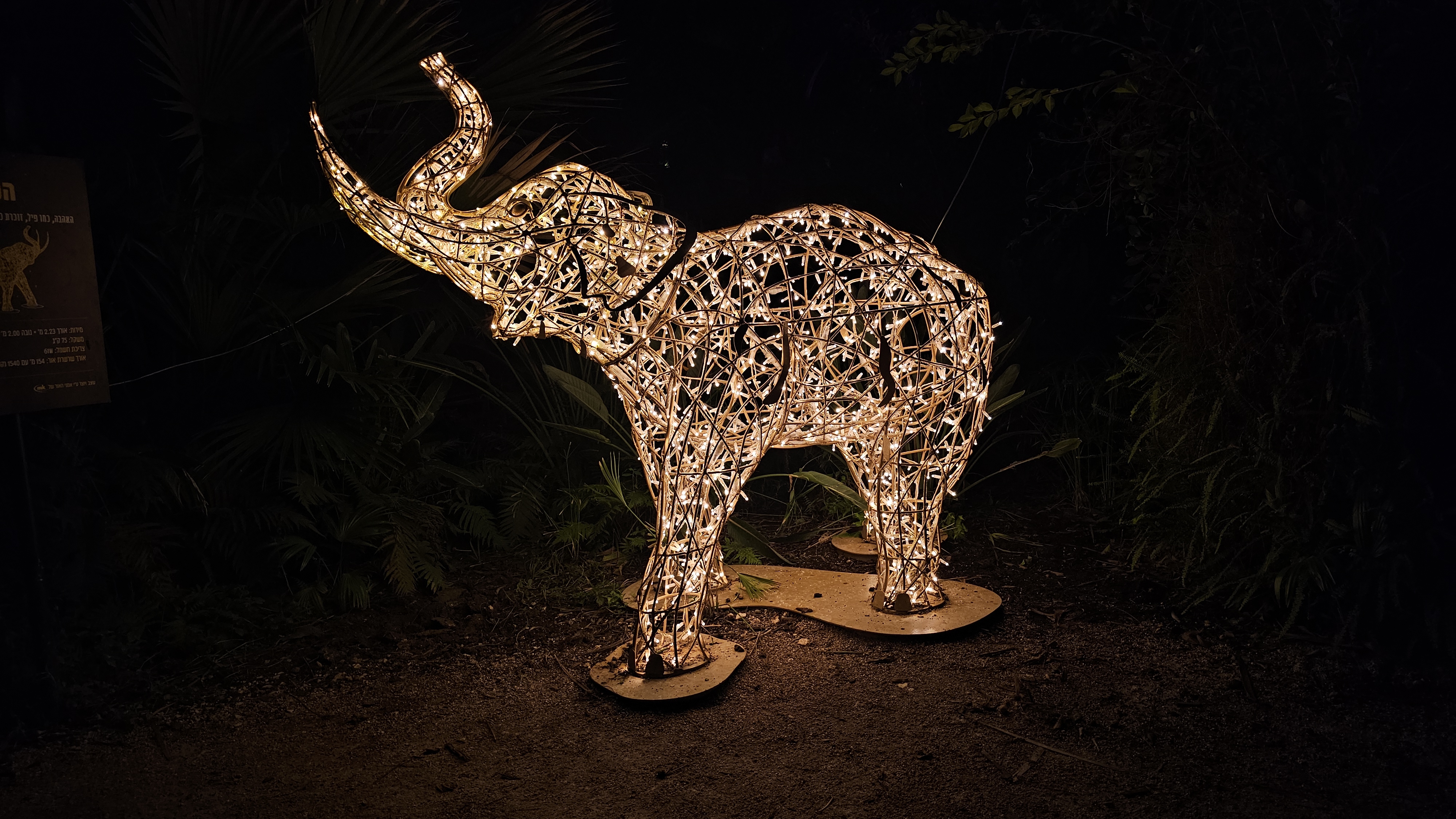 Фото: Ира Макейнко