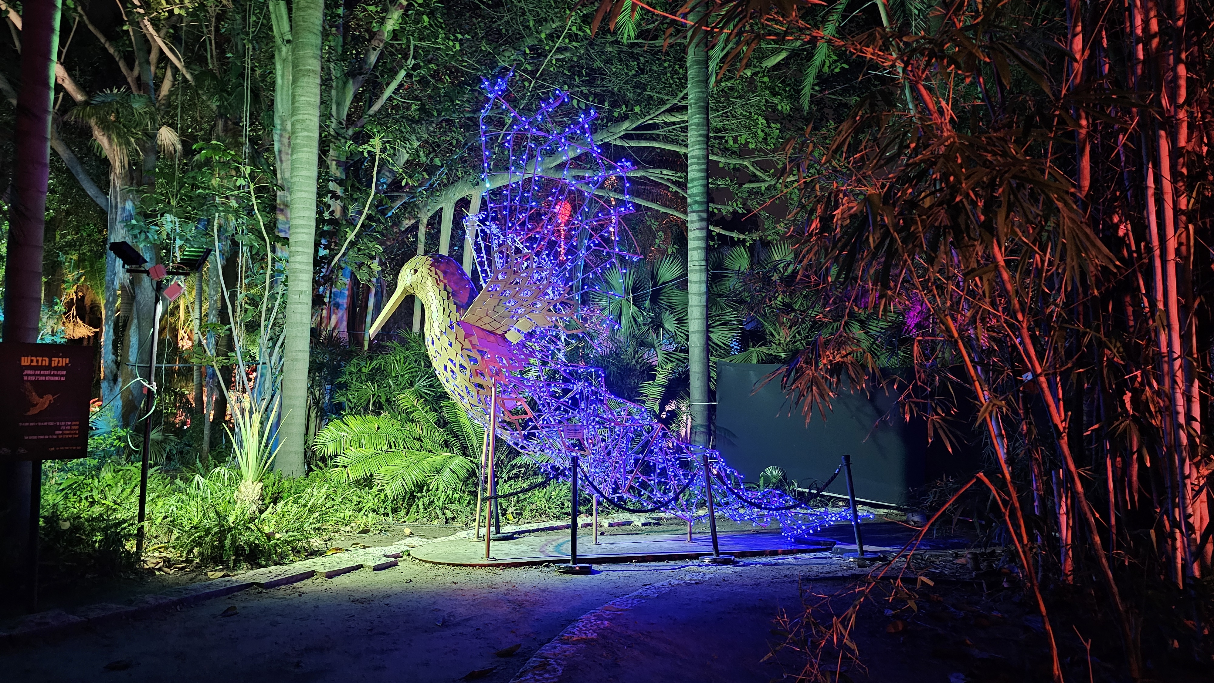 Колибри - один из узнаваемых символов фестиваля. Фото: Ира Макейнко