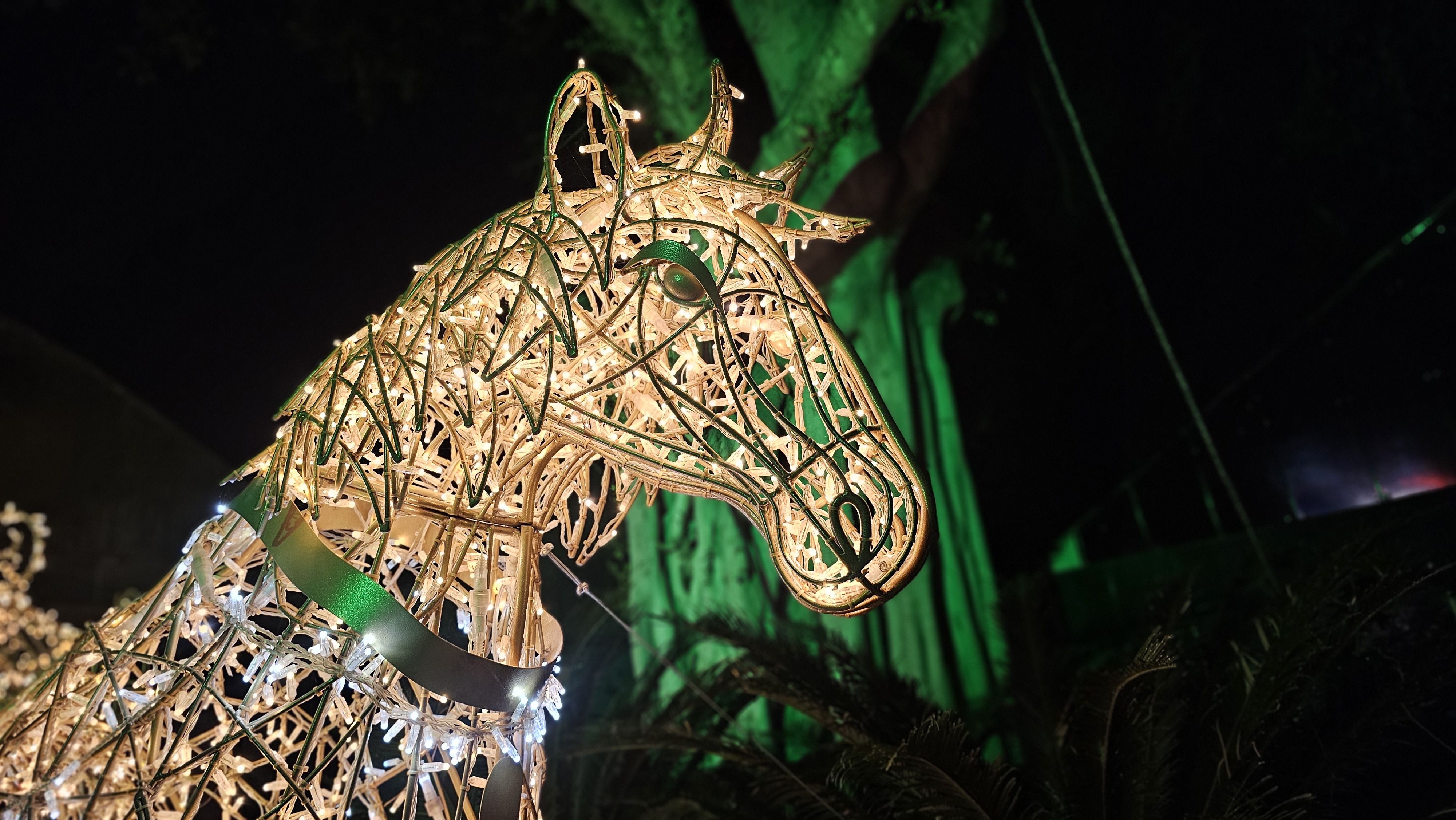 Светящаяся карета. Фото: Ира Макейнко