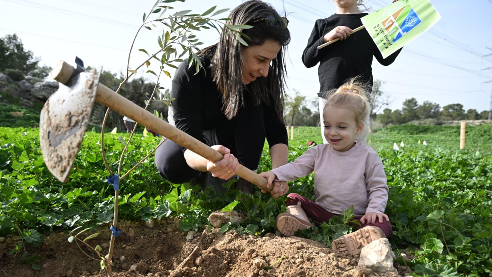 שיא בנטיעות בעשור האחרון