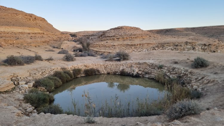 בור חמת (בור ניצנה) לצד כביש 10. צילום: ספיר פרץ