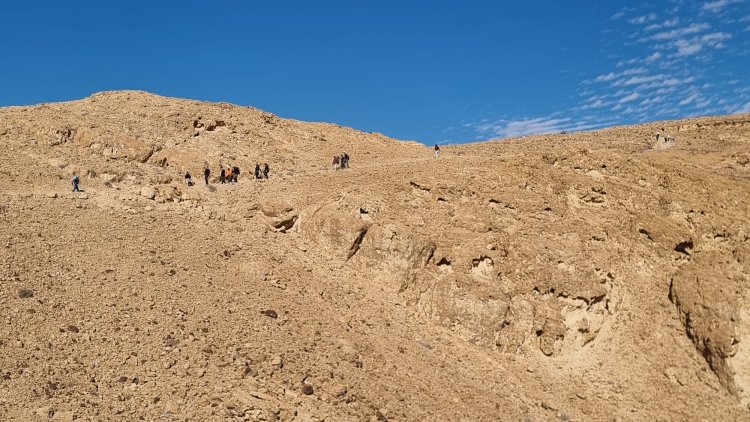 עולים לפסגת הר כרכום. צילום: ספיר פרץ