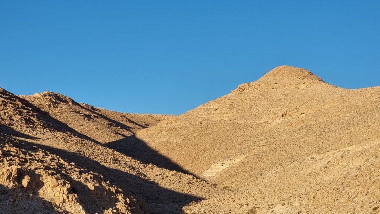 מדבר יפיפה. צילום: ספיר פרץ