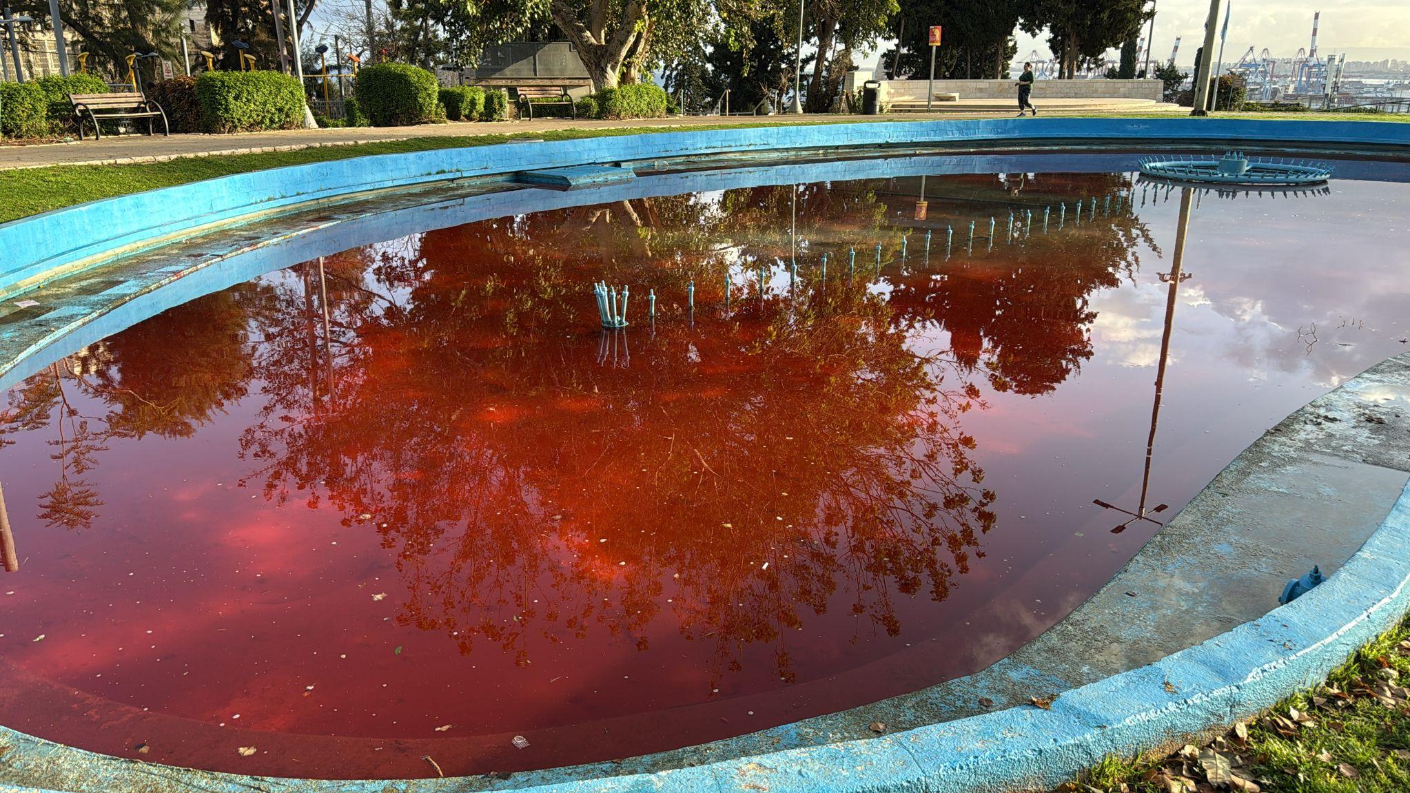 צילום: משטרת ישראל