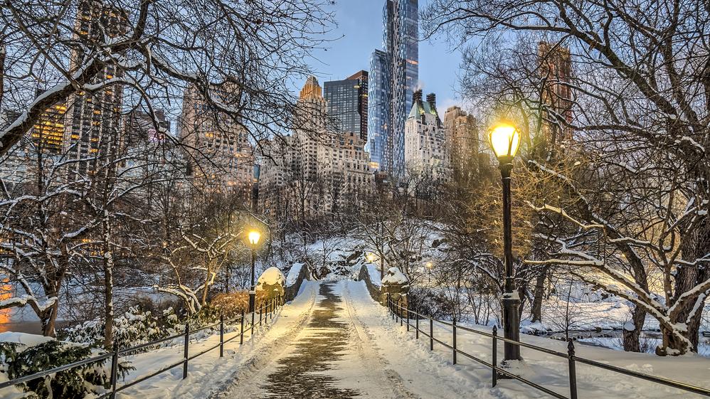 Central Park, New York City winter snow. תמונת ארכיון. Shutterstock