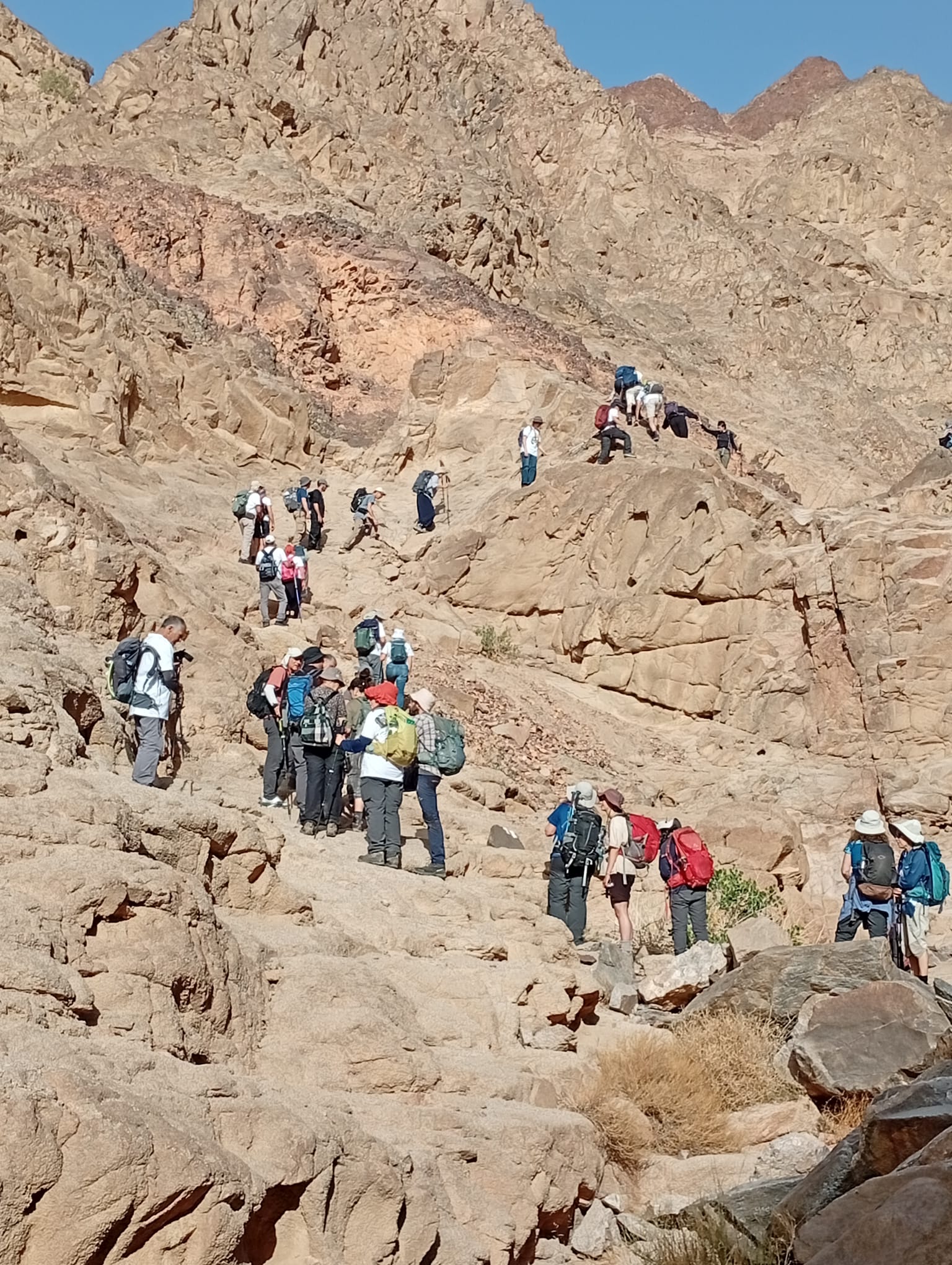 מסע נפגשים בשביל ישראל. צילום: רועי סוקולובסקי
