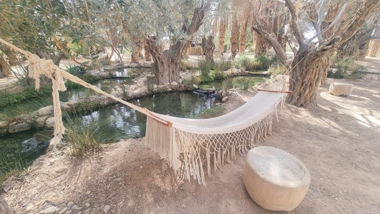 ערסלים ופינות ישיבה נמוכות פזורות ברחבי המתחם. צילום: ספיר פרץ