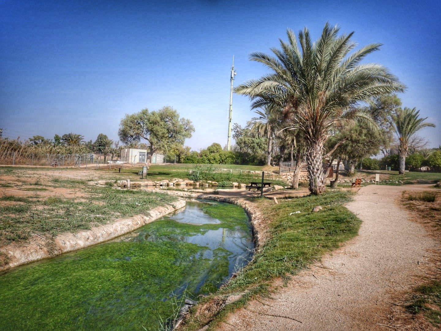 פארק אשכול. צילום: שרית פלצי מיארה רשות הטבע והגנים