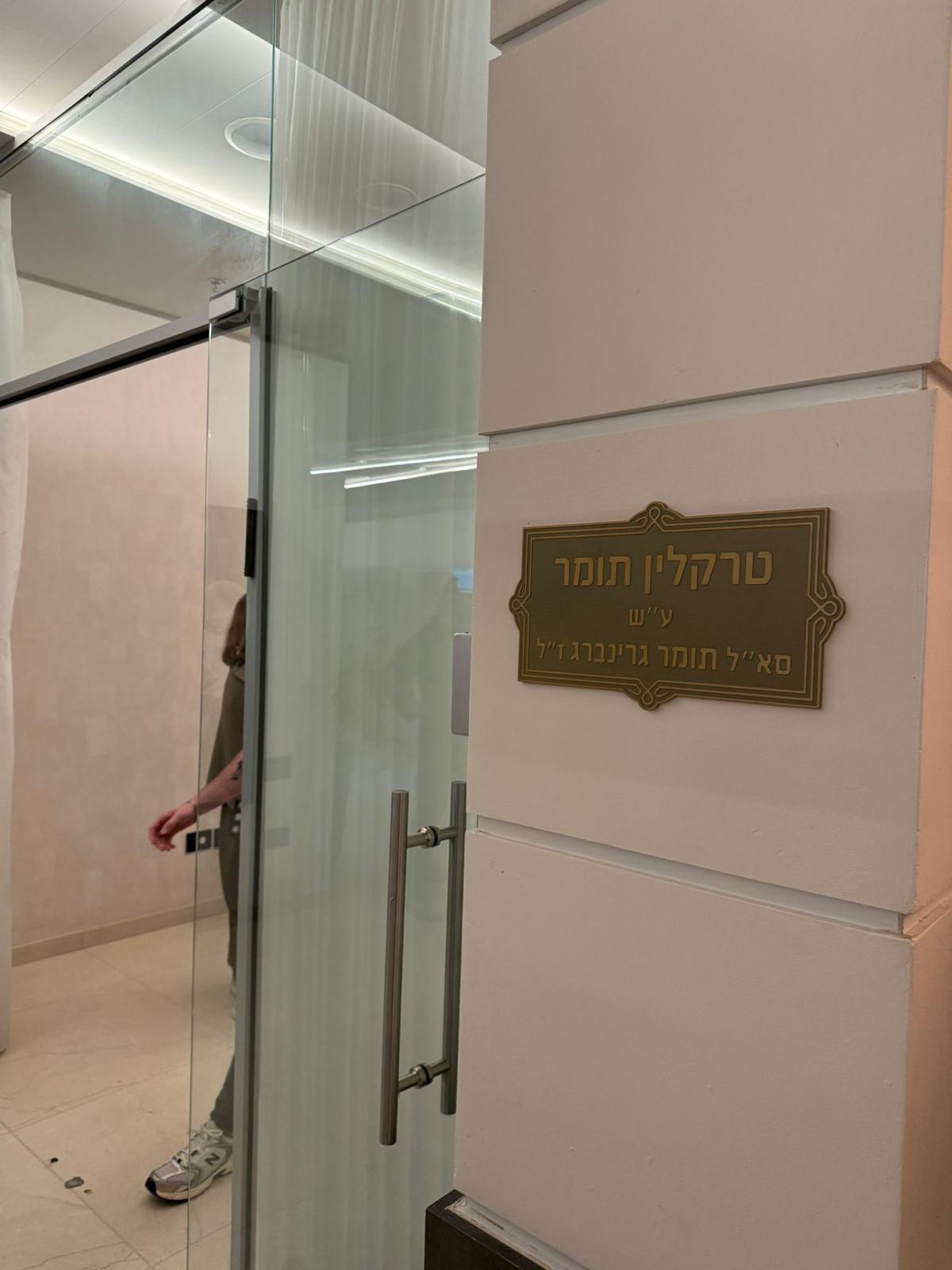 צילום: אלכסנדר מטבייב