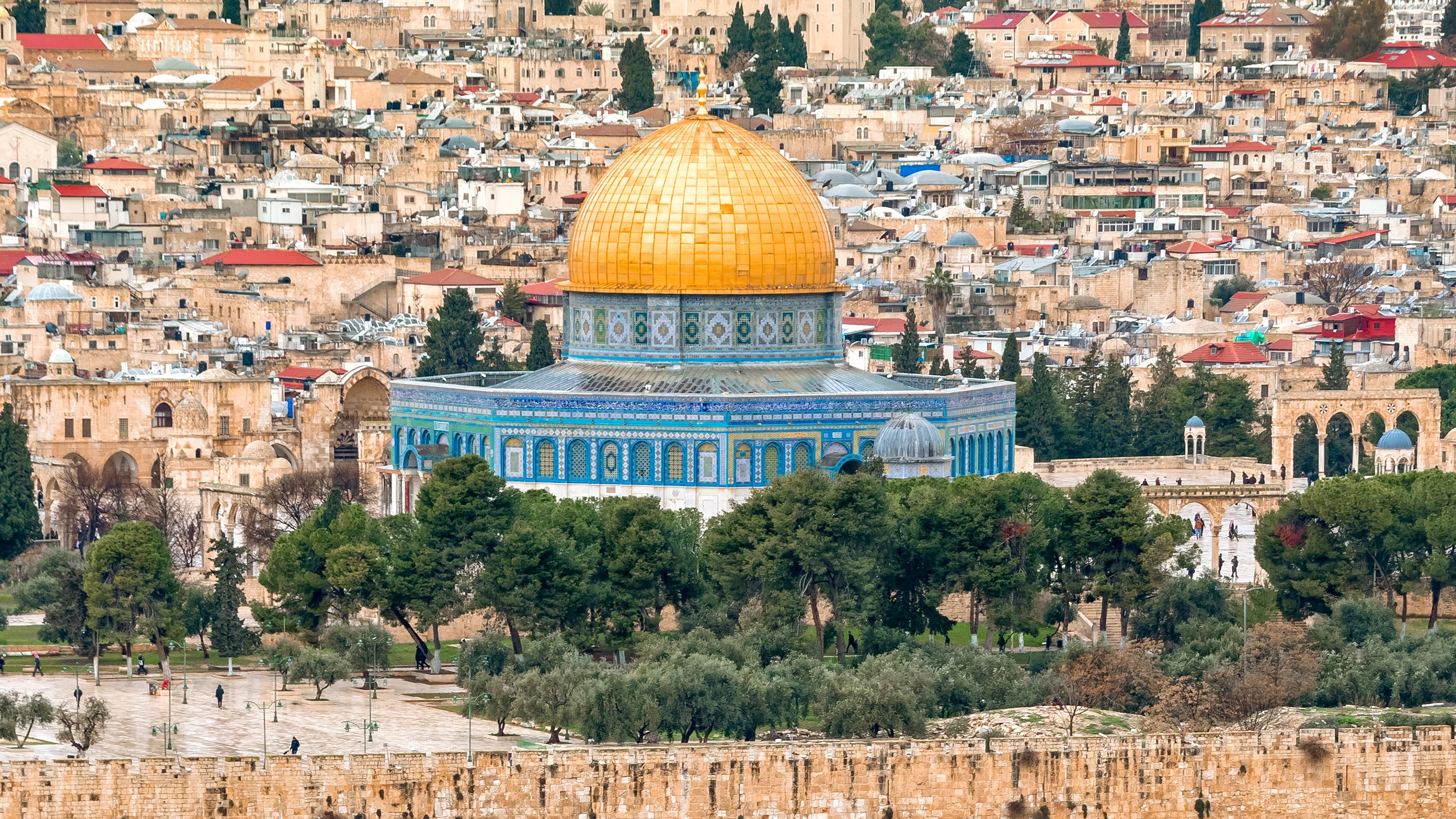 צילום: Shutterstock
