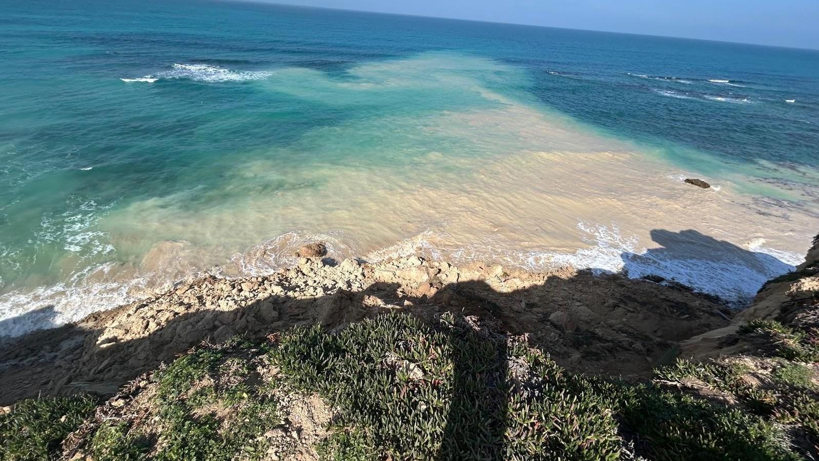 צילום; אסף ניסנבוים רשות הטבע והגנים