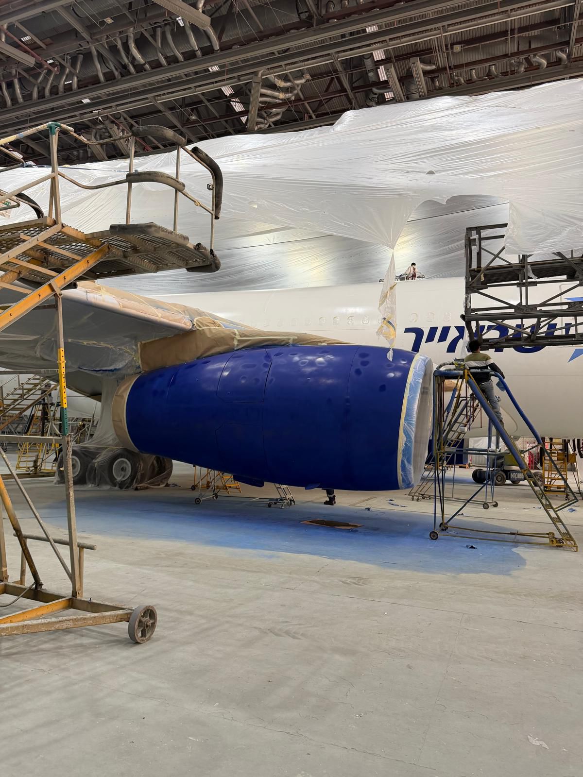 בדרך לפתיחת יעדים ארוכי טווח חדשים. צילום: Airbus