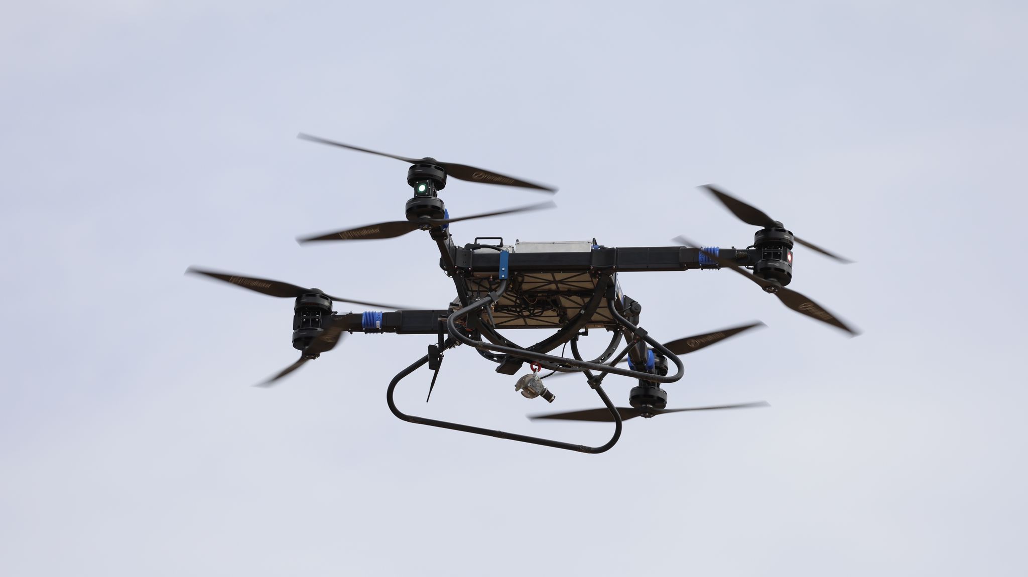 Фото: Дрор Бен-Давид