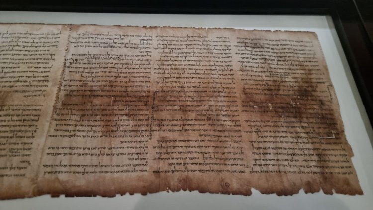 אחרי 2100 שנים במדבר, עכשיו מוצגת לקהל הרחב במוזיאון ישראל. צילום: ספיר פרץ